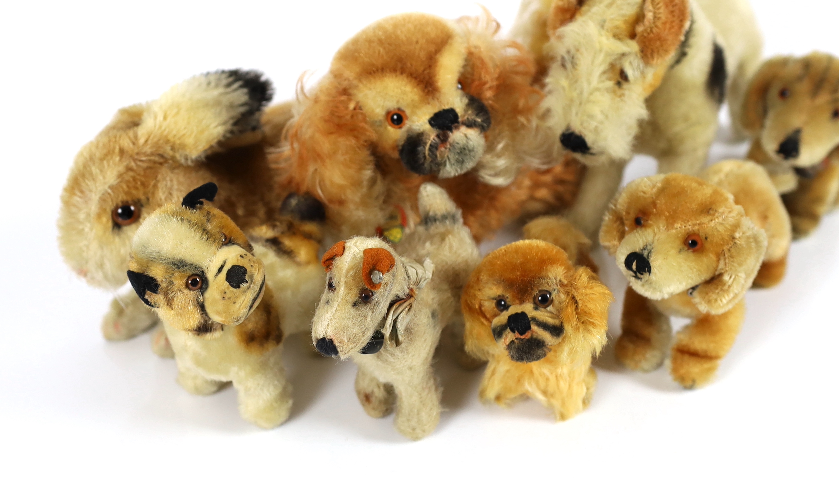 Nine 1950's Steiff dogs (9)